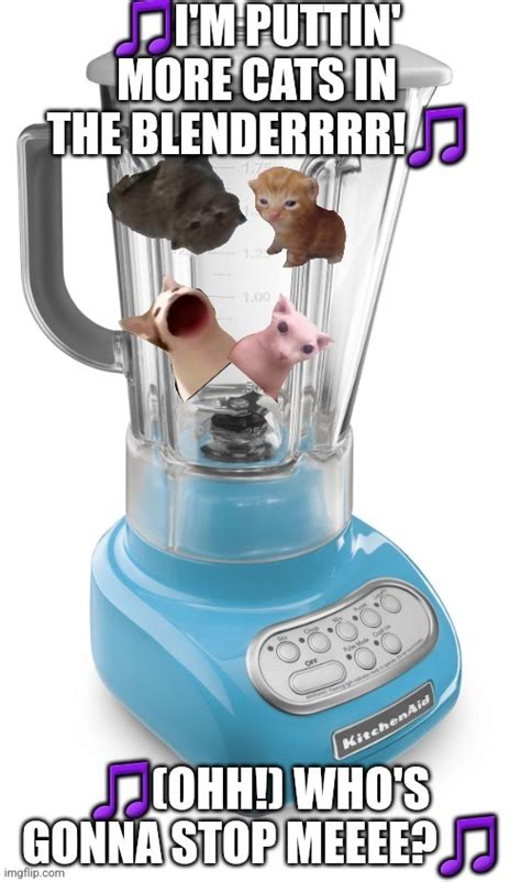 cat in a blender twitter|What Is The Disturbing Cat Blender Video And Why Are They。